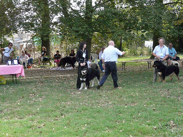 img 207.jpg